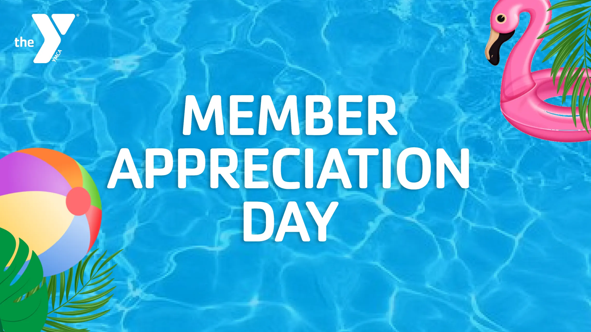 Member Appreciation