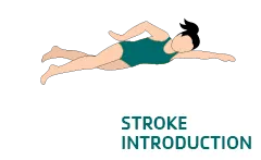 Swim stroke graphic