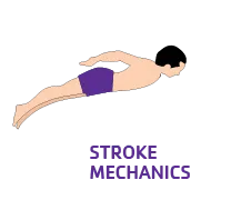 Stroke Mechanics graphic