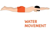 water movement graphic