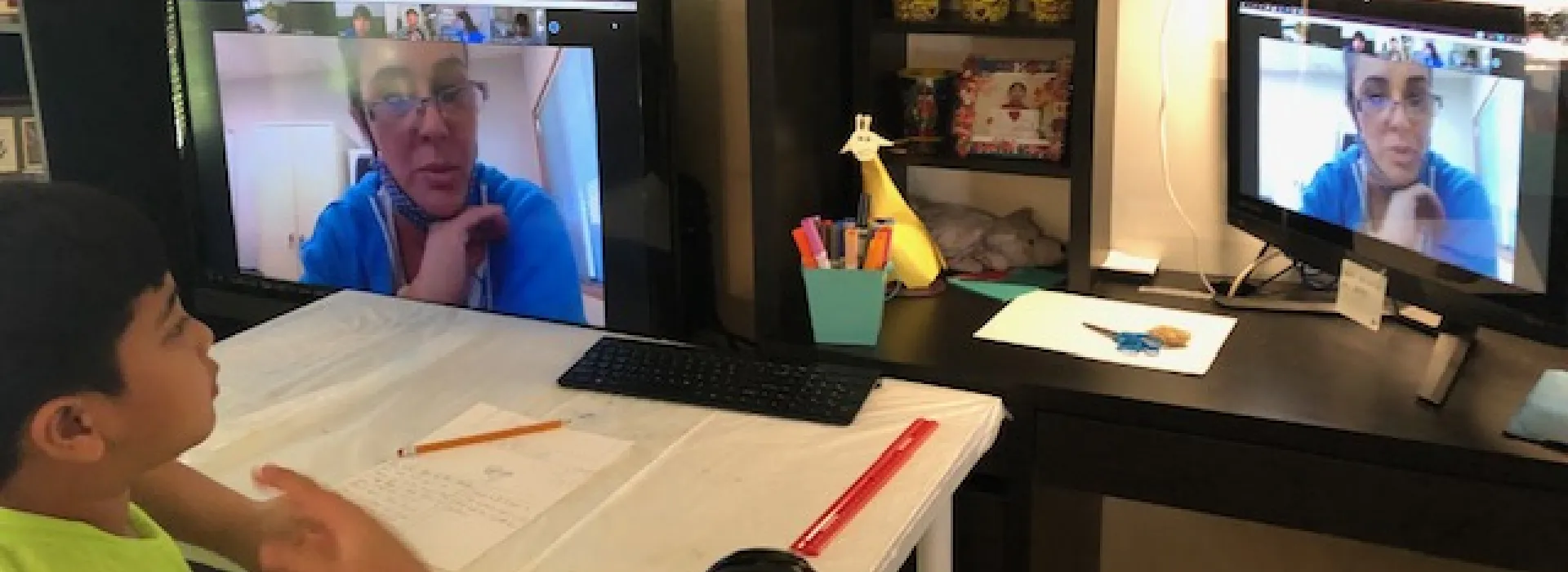 stevenson student doing virtual program