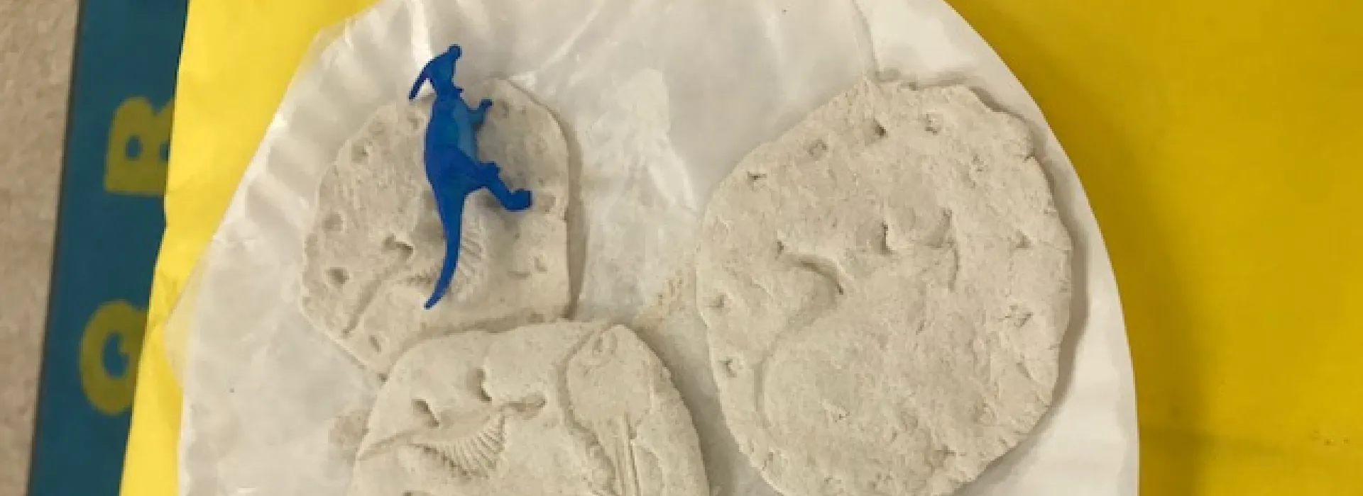 Stevenson Dinosaur imprint art